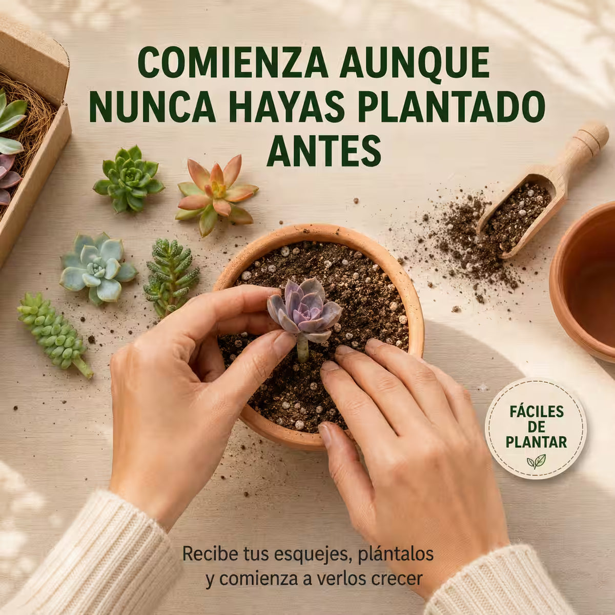 Colección de 30 Esquejes Vivos y Variados – Comienza a cultivar tus propias plantas fácilmente