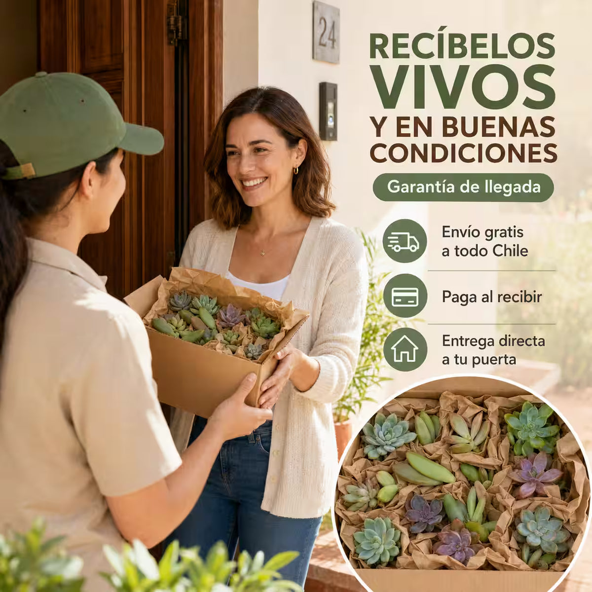 Colección de 30 Esquejes Vivos y Variados – Comienza a cultivar tus propias plantas fácilmente